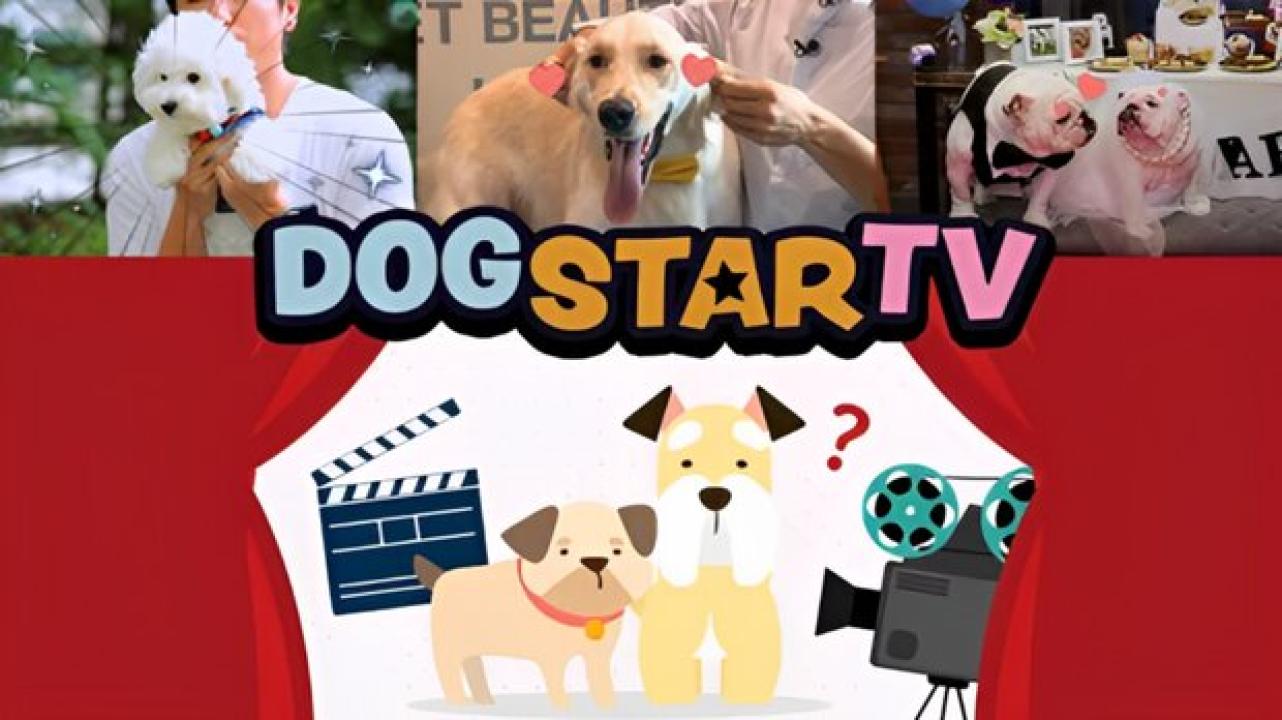 Dog Star TV